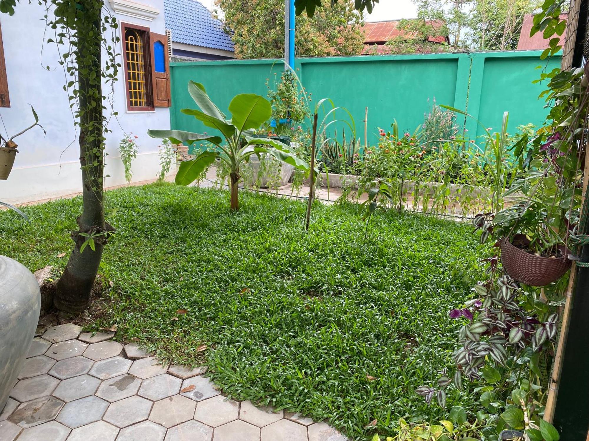 Bloom Garden Bed & Breakfast Σιέμ Ρέαπ Εξωτερικό φωτογραφία