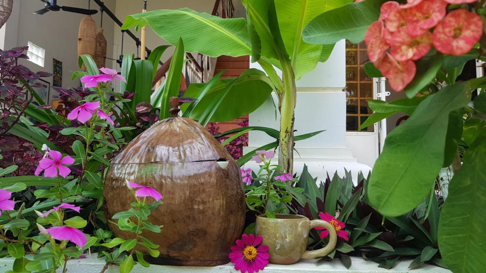 Bloom Garden Bed & Breakfast Σιέμ Ρέαπ Εξωτερικό φωτογραφία